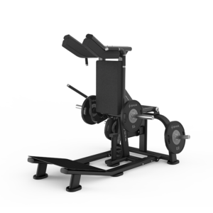 SH-G6913-01-1