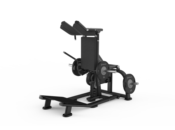 SH-G6913-01-1