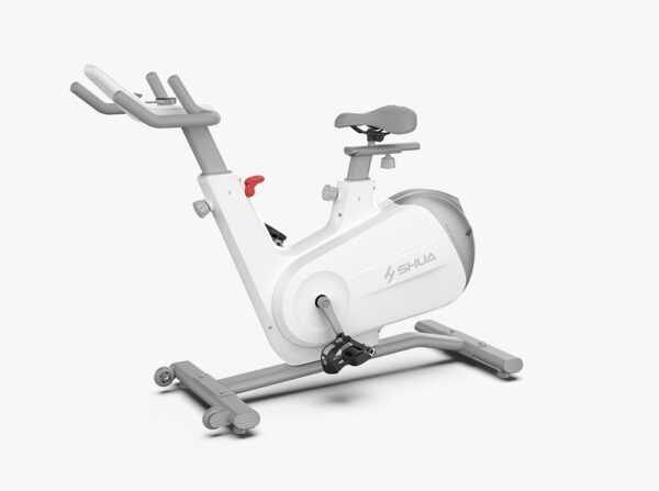 B596 Spinning Bike